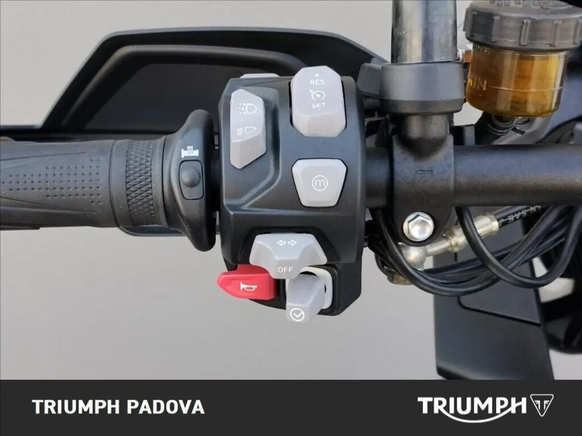 Triumph Tiger 1200 Rally Pro (2024 - 26) (12)