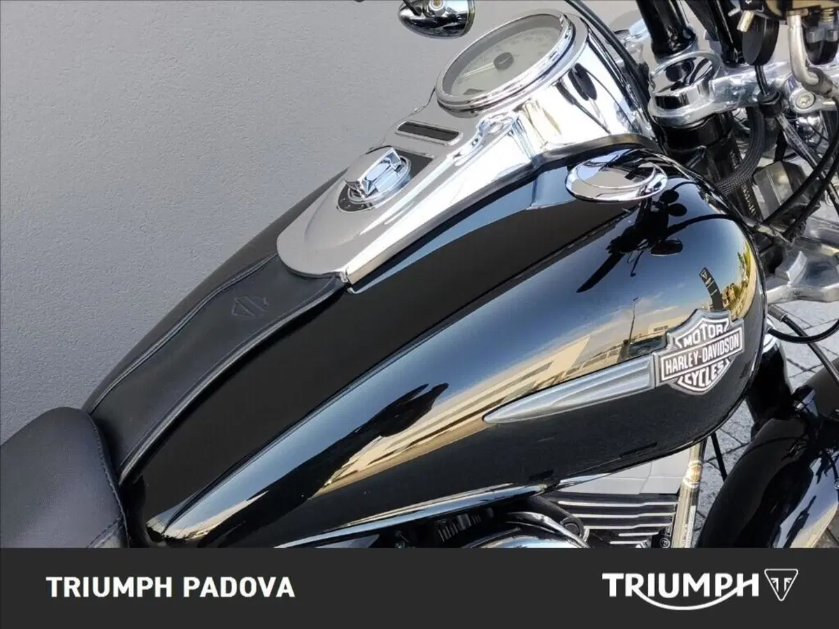 Harley-Davidson 1584 Fat Bob (2007 - 13) - FXDF (4)