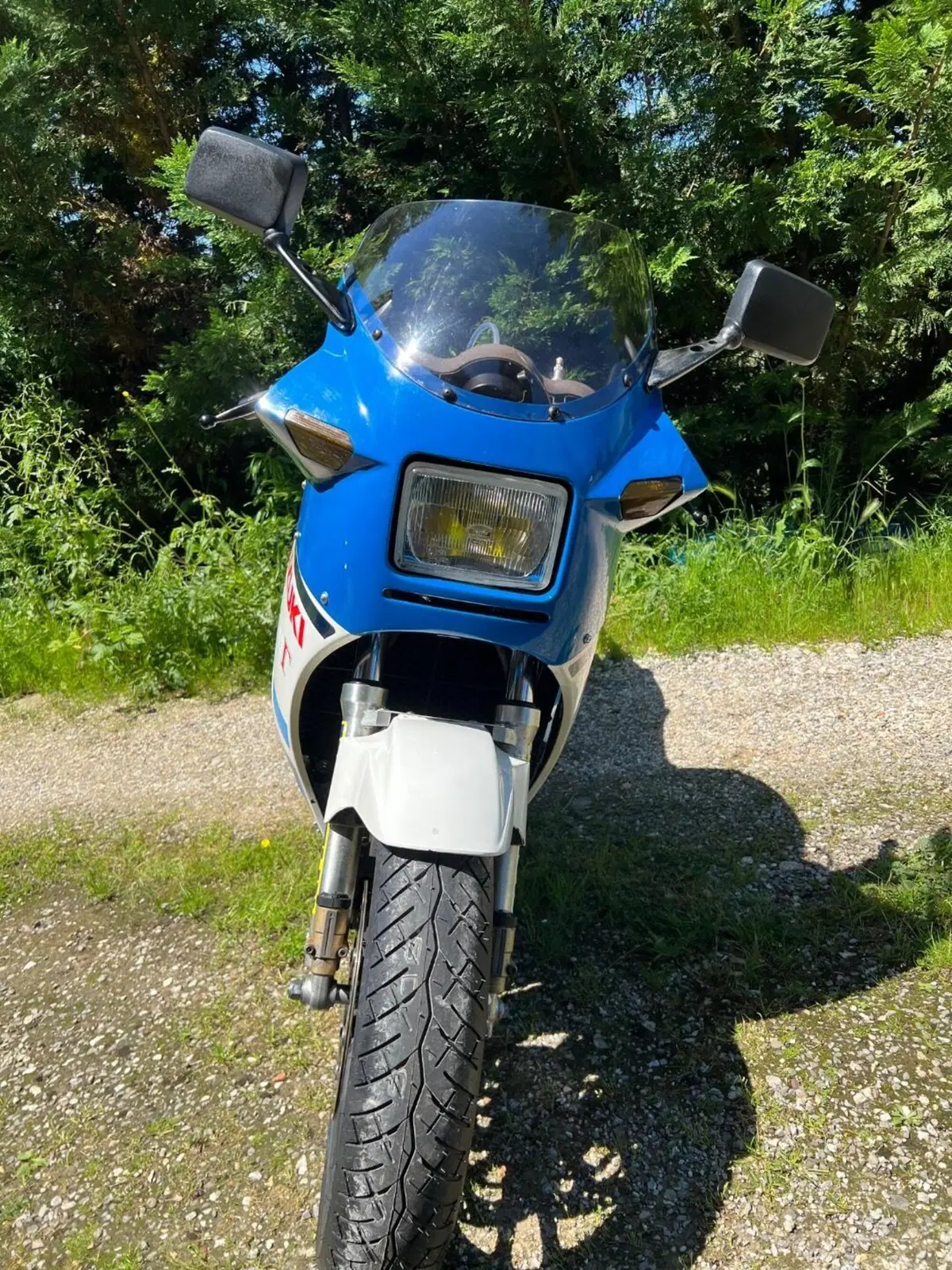 Suzuki Rg 500 gamma (14)