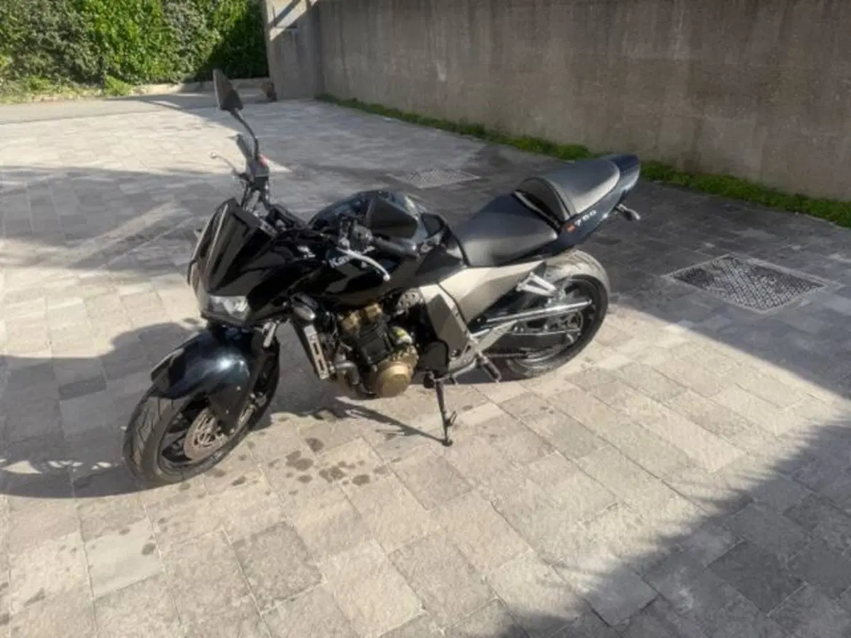 Kawasaki Z 750 (2003 - 06) (3)