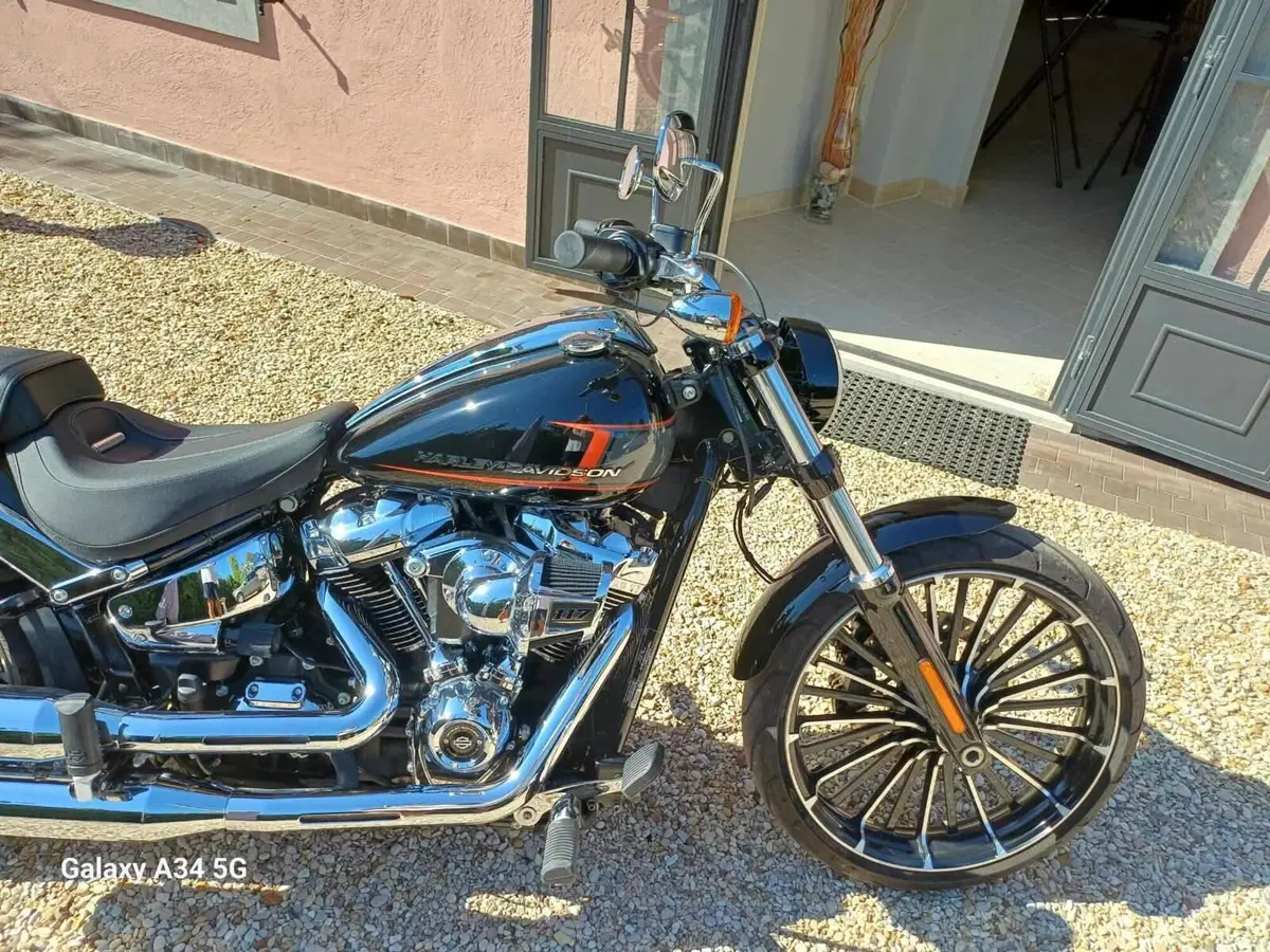 Harley-Davidson Breakout 117 (2023 - 24) (8)