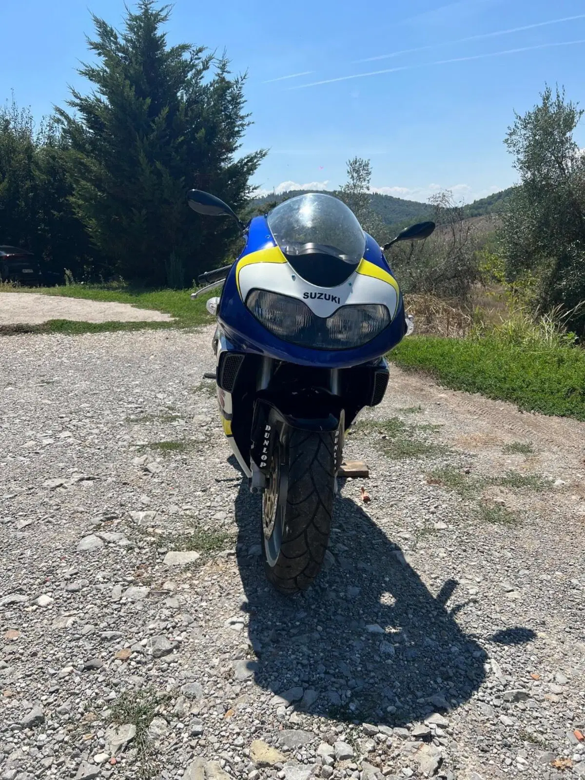 Suzuki TL 1000 R (10)