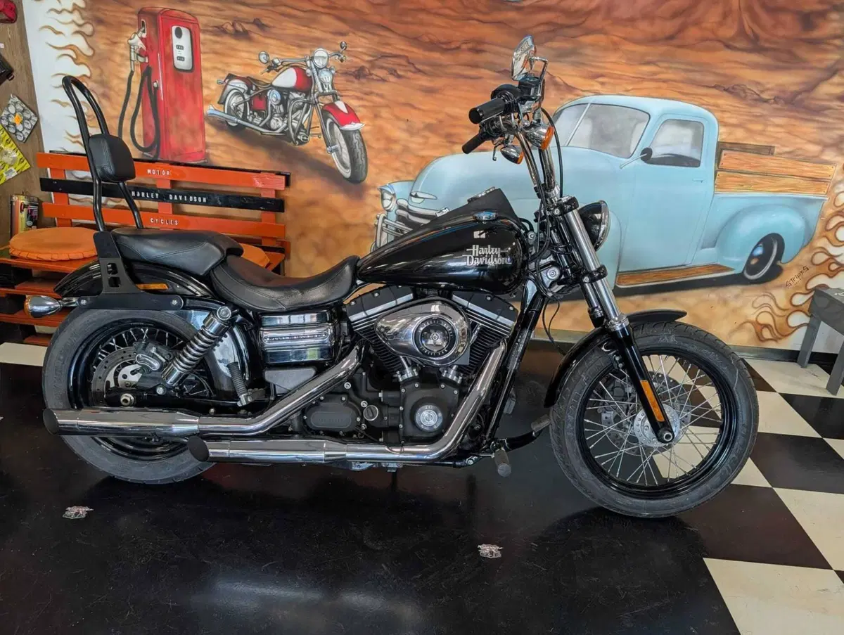 Harley-Davidson 1584 Street Bob (2008 - 15) - FXDB (3)