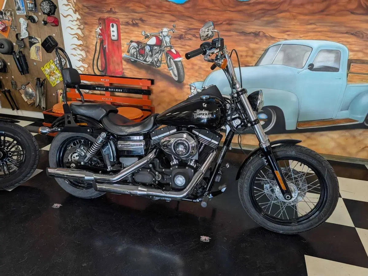 Harley-Davidson 1584 Street Bob (2008 - 15) - FXDB (6)