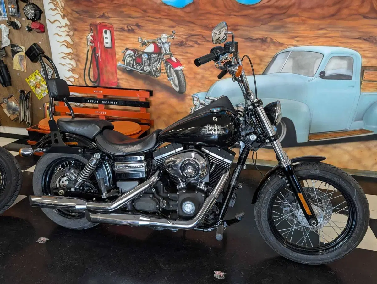 Harley-Davidson 1584 Street Bob (2008 - 15) - FXDB (11)