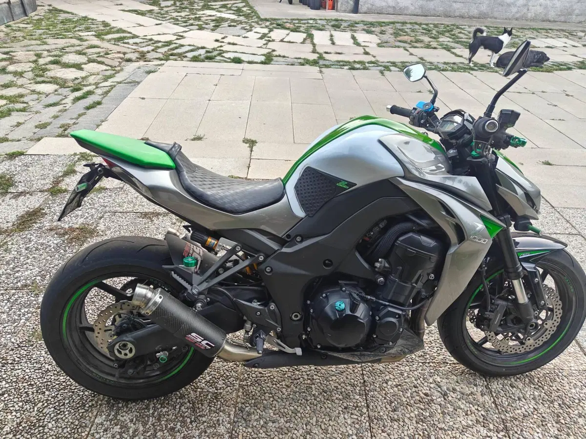 Kawasaki Z 1000 ABS (2014 - 16) (2)