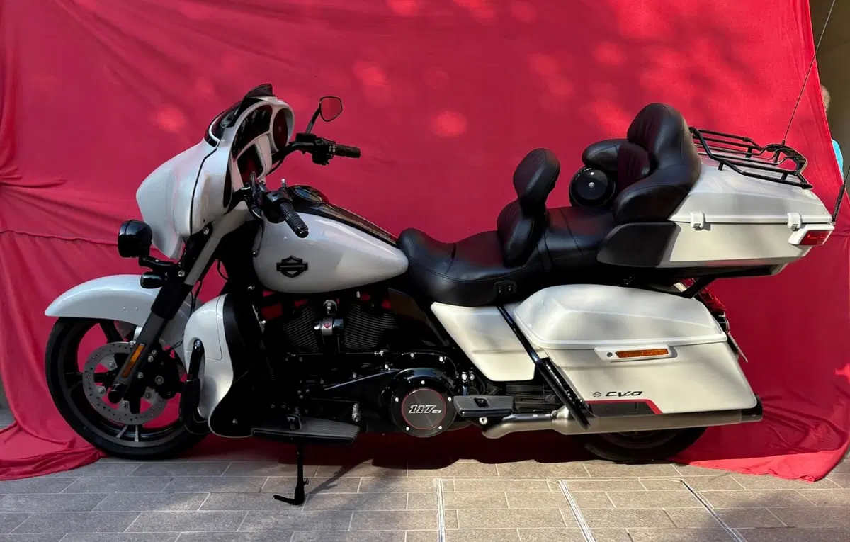 Harley-Davidson 117 Limited (2018 - 20) - FLHTKSE (2)