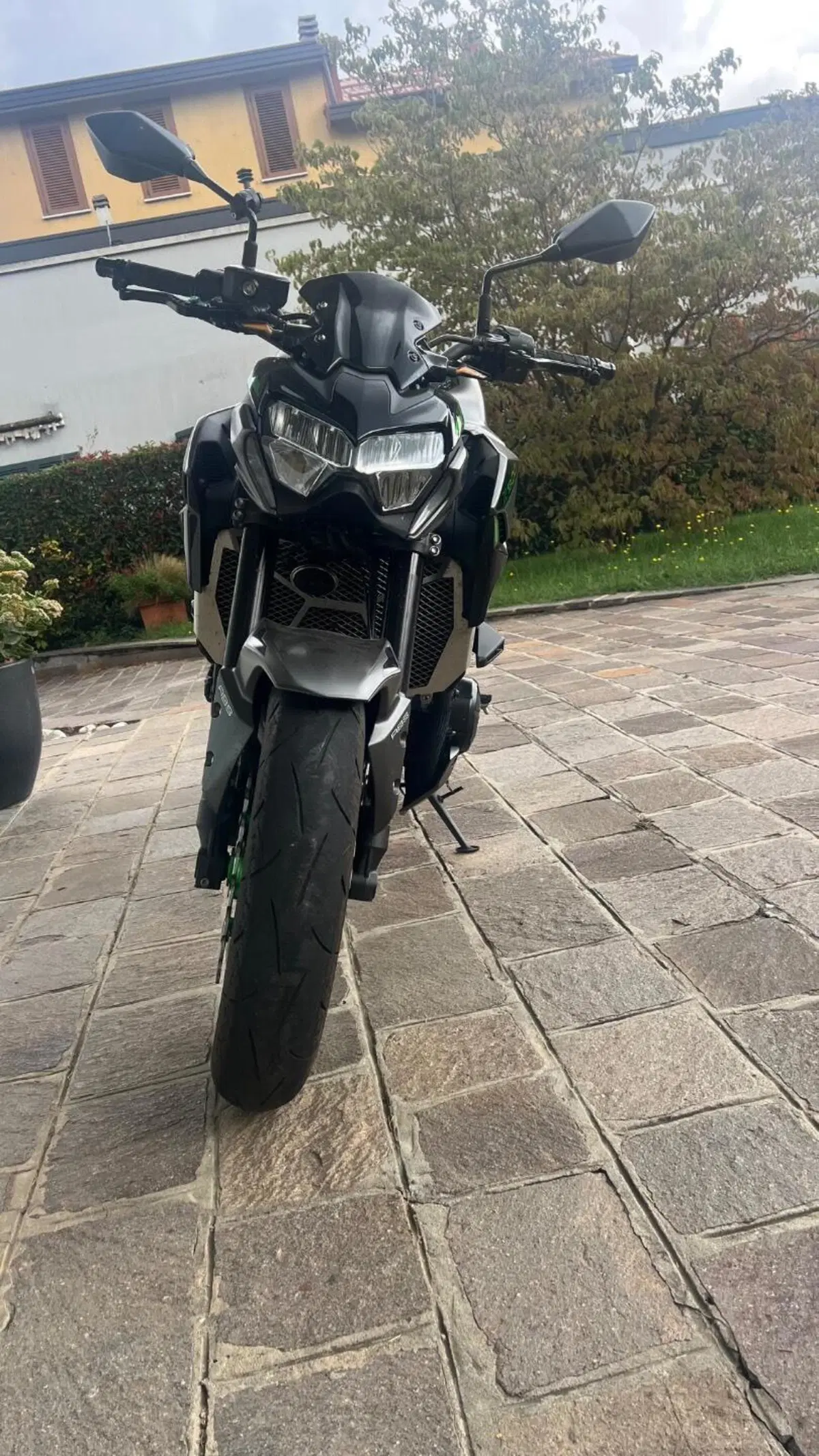 Kawasaki Z 900 A2 (2021 - 24) (2)