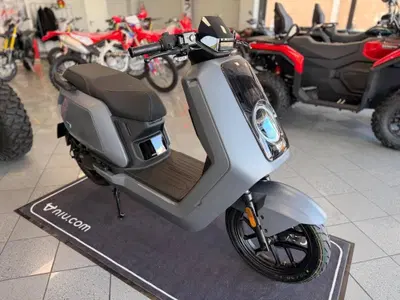 Niu NQiX 300 (2025 - 26) usata
