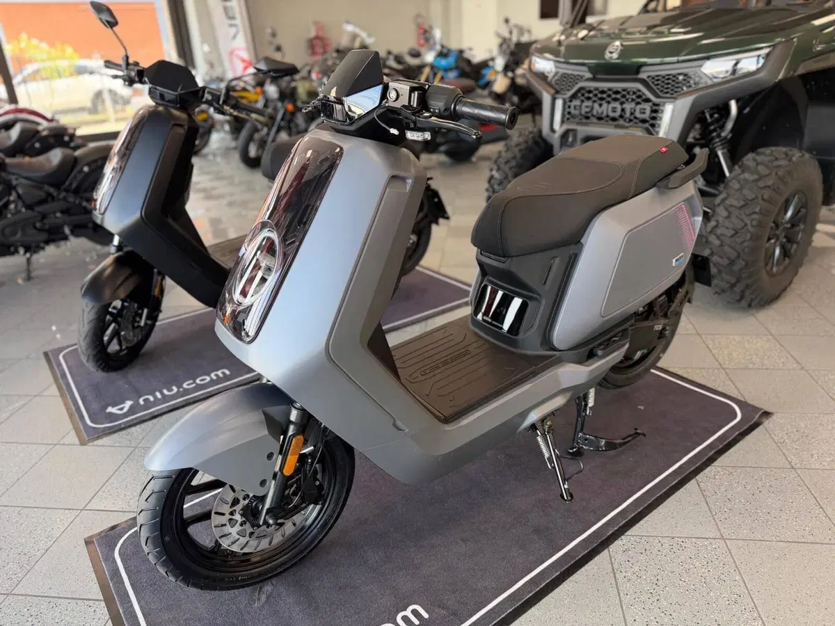 Niu NQiX 300 (2025 - 26) (2)