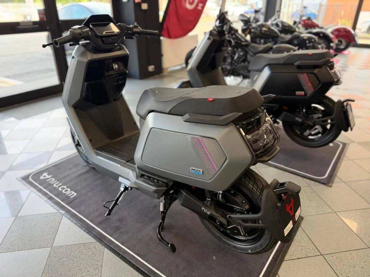 Niu NQiX 300 (2025 - 26) (3)