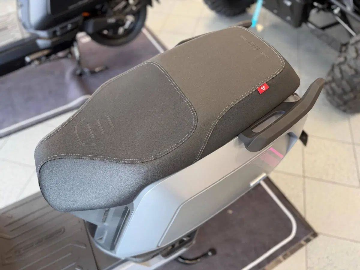 Niu NQiX 300 (2025 - 26) (6)