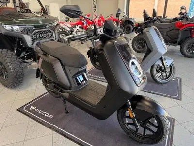 Niu NQiX 500 (2025 - 26) usata