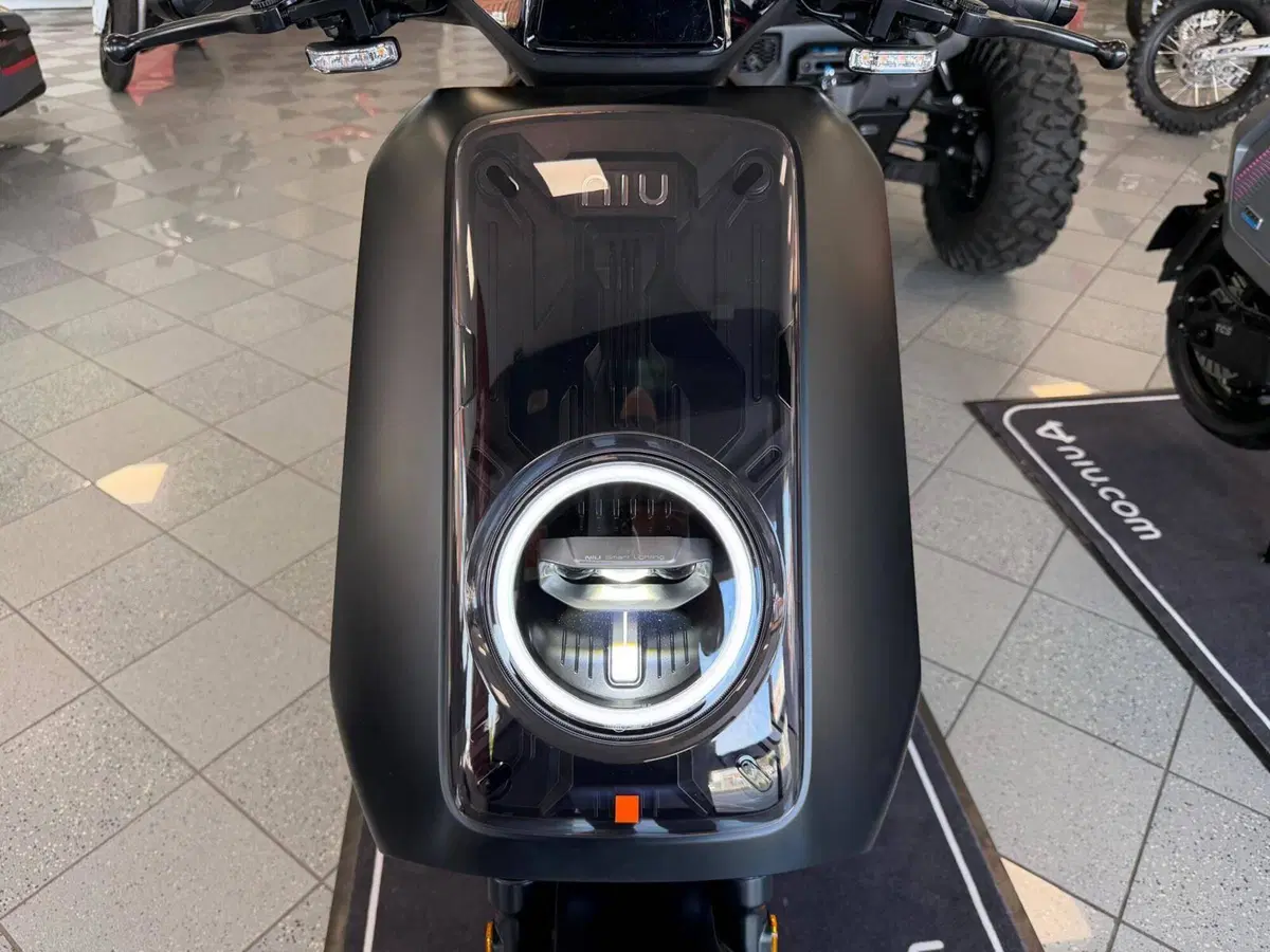Niu NQiX 500 (2025 - 26) (5)