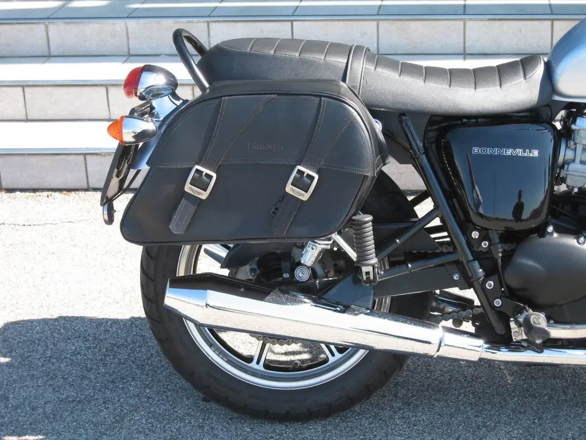 Triumph Bonneville SE (2009 - 13) (4)