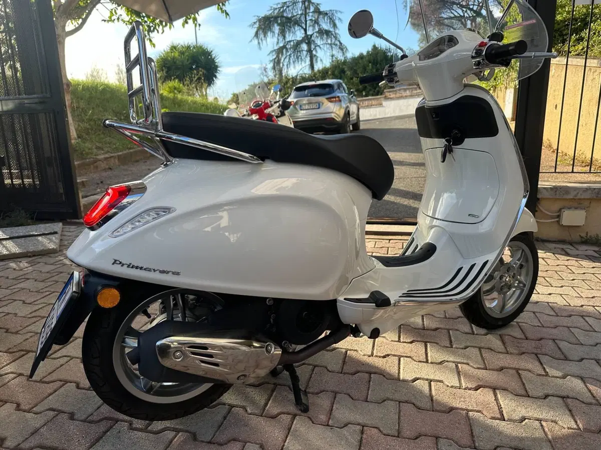 Vespa Primavera 150 (2024 - 25) (6)