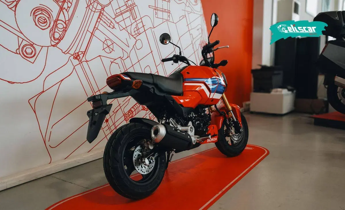 Honda MSX 125 Grom (2021 - 26) (5)