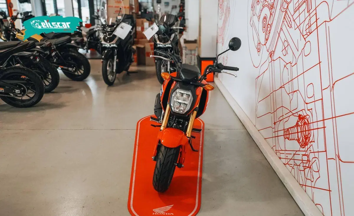 Honda MSX 125 Grom (2021 - 26) (3)