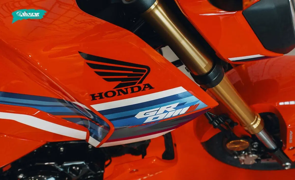 Honda MSX 125 Grom (2021 - 26) (7)
