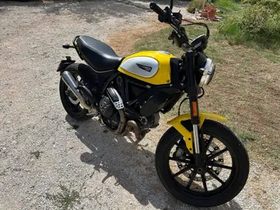 Ducati Scrambler 800 Icon (2017 - 20) usata