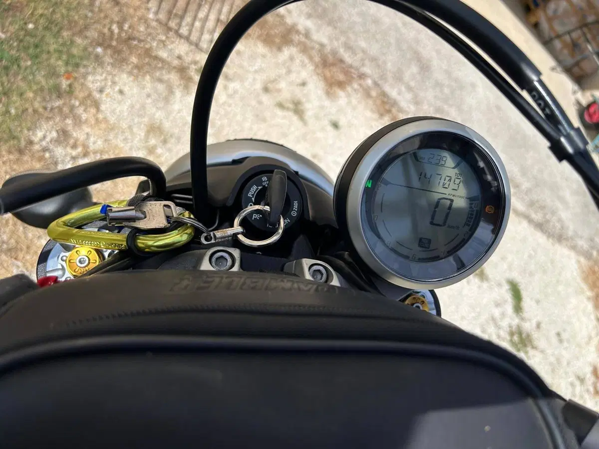 Ducati Scrambler 800 Icon (2017 - 20) (4)