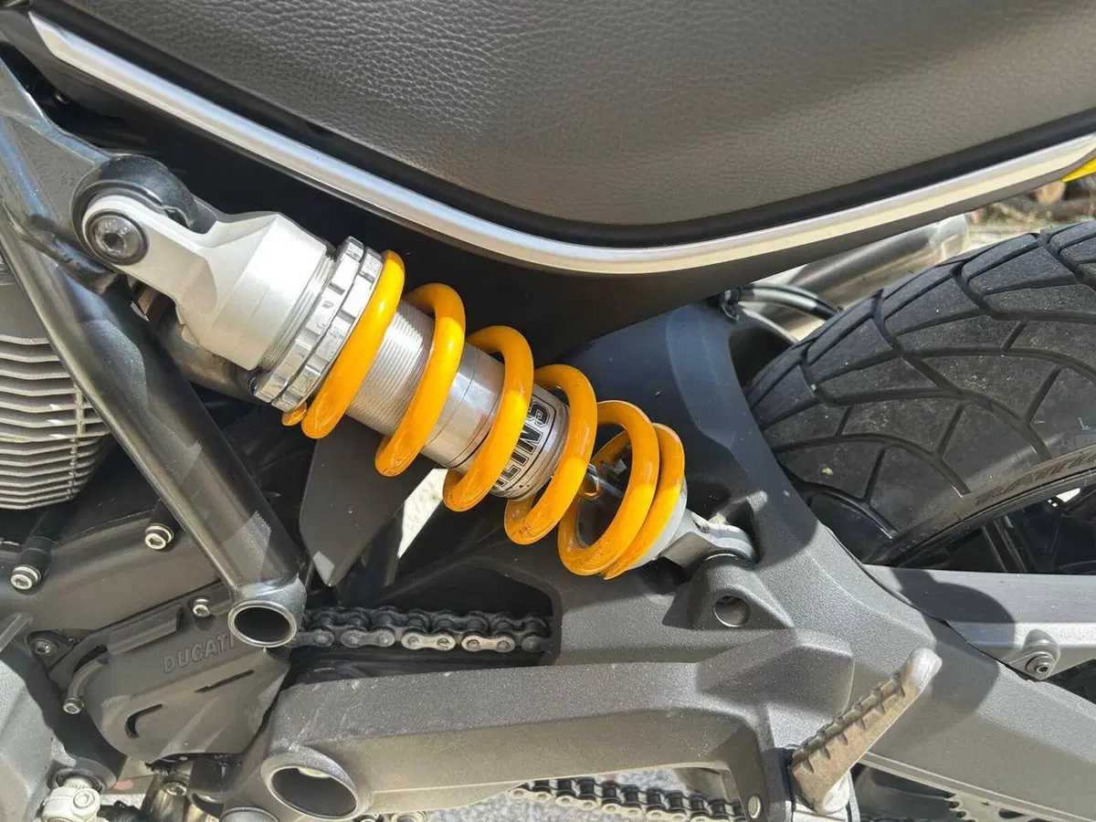 Ducati Scrambler 800 Icon (2017 - 20) (5)