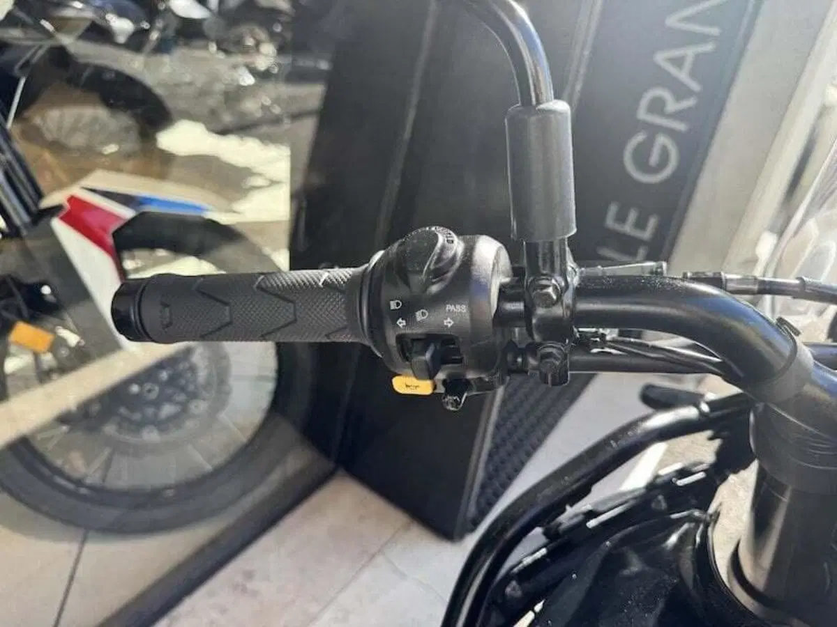 Royal Enfield Himalayan 450 (2024 - 26) (17)