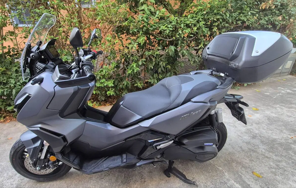 Honda ADV 350 (2022 - 24) (4)