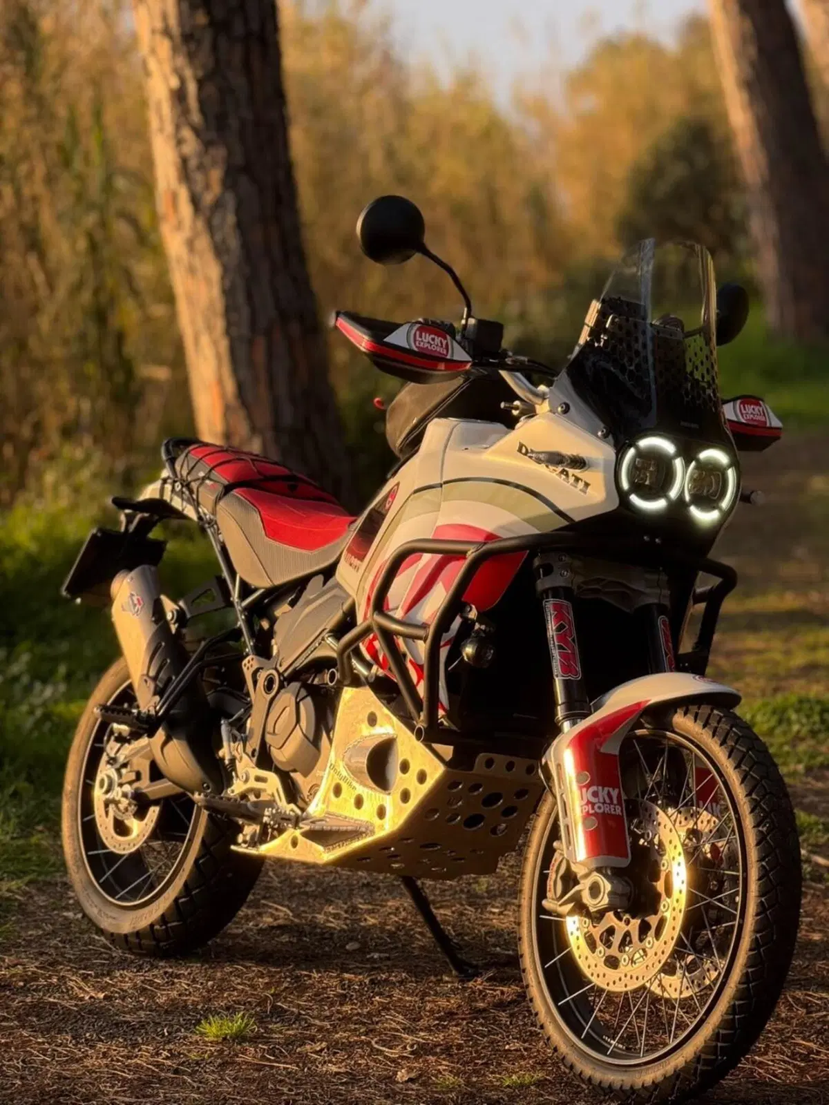 Ducati DesertX (2022 - 25)