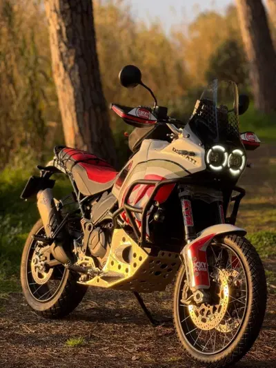 Ducati DesertX (2022 - 25) usata