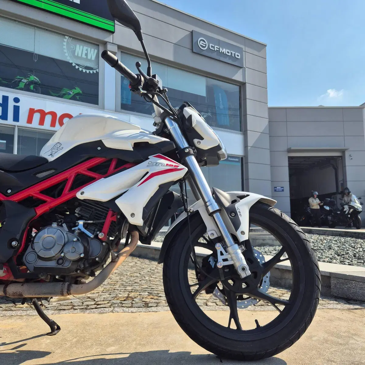 Benelli BN 125 (2018 - 20) (6)