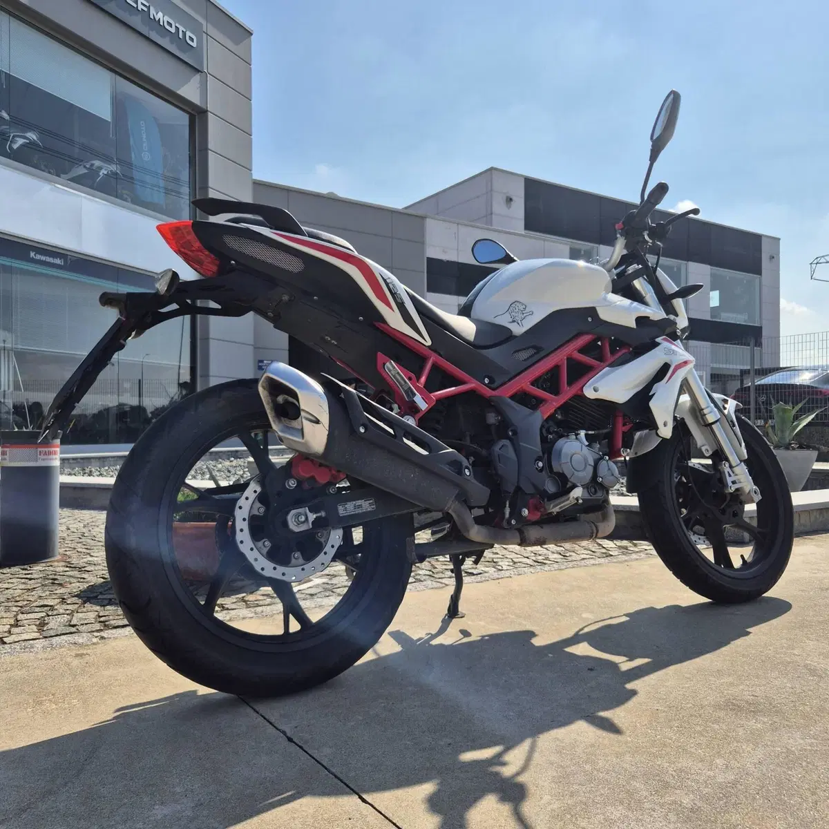 Benelli BN 125 (2018 - 20) (2)
