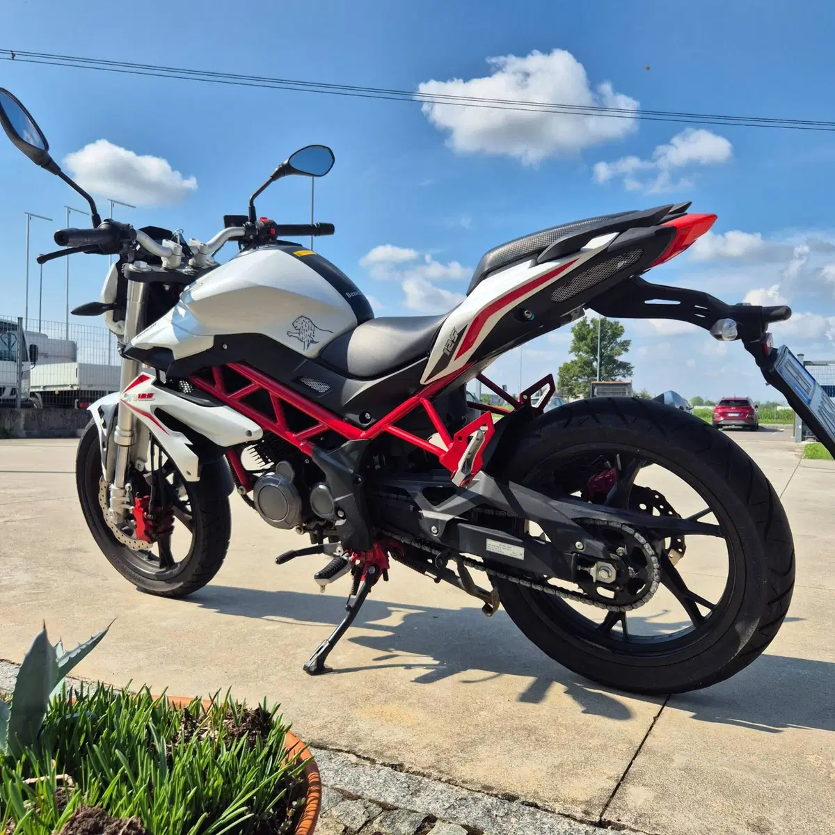 Benelli BN 125 (2018 - 20) (3)
