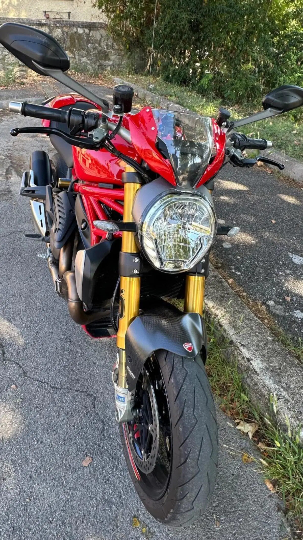 Ducati Monster 1200 S (2014 - 16) (4)