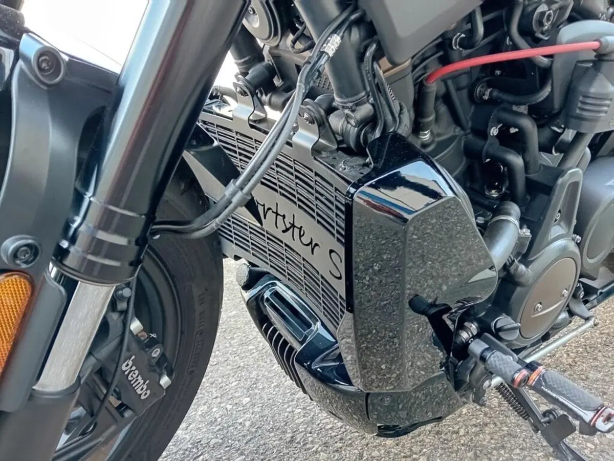 Harley-Davidson Sportster S (2022 - 24) (5)