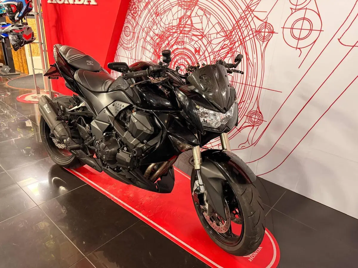 Kawasaki Z 1000 (2007 - 09) (3)