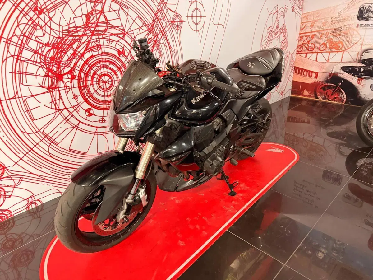 Kawasaki Z 1000 (2007 - 09) (4)