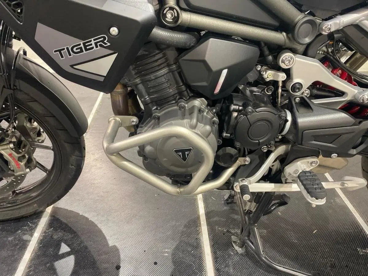Triumph Tiger 1200 GT Pro (2024 - 26) (13)