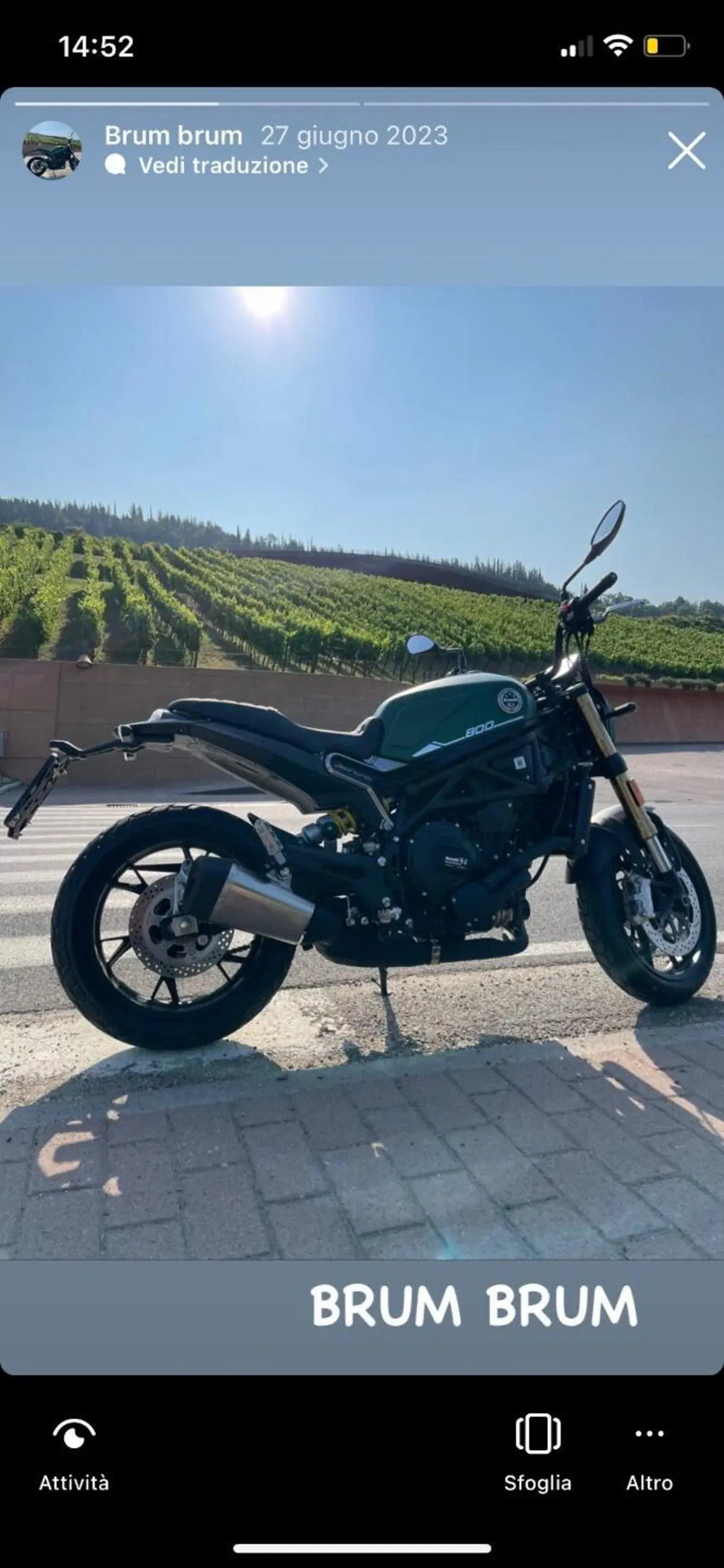 Benelli Leoncino 800 (2022 - 26)