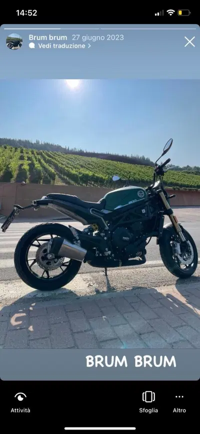 Benelli Leoncino 800 (2022 - 26) usata