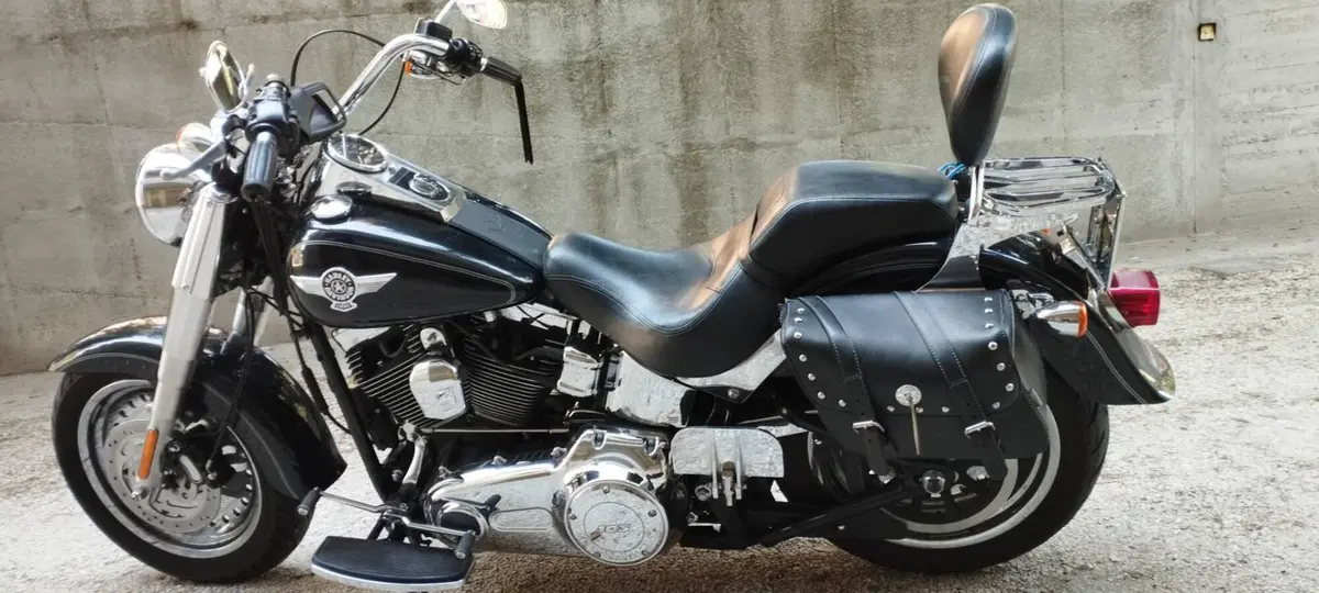 Harley-Davidson 1690 Fat Boy Special (2010 - 17) - FLSTF (2)