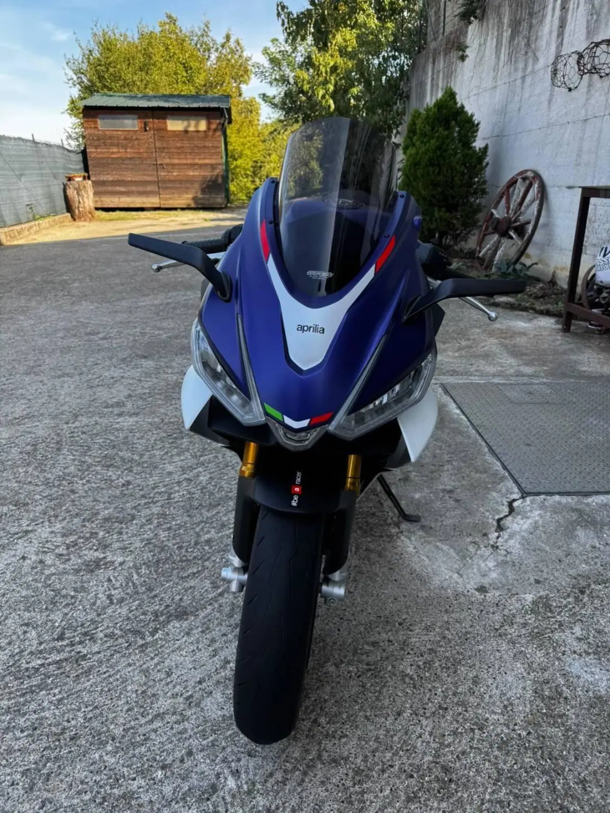 Aprilia RS 660 Limited Edition (2020 - 23) (2)