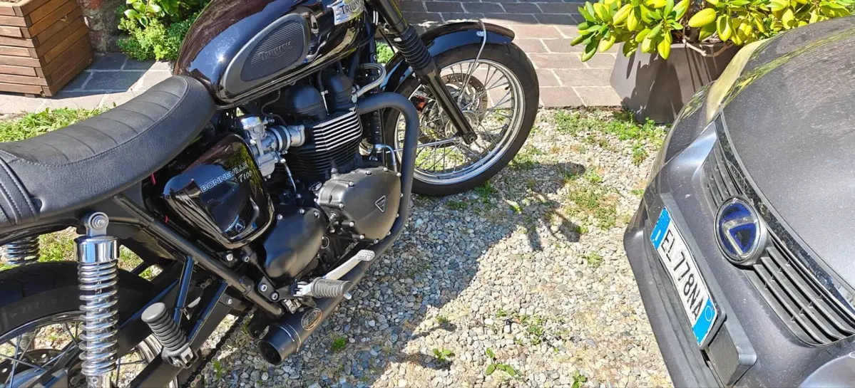 Triumph Bonneville T100 (2008 - 16) (2)