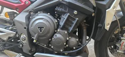 Triumph Street Triple RS (2020 - 22) usata