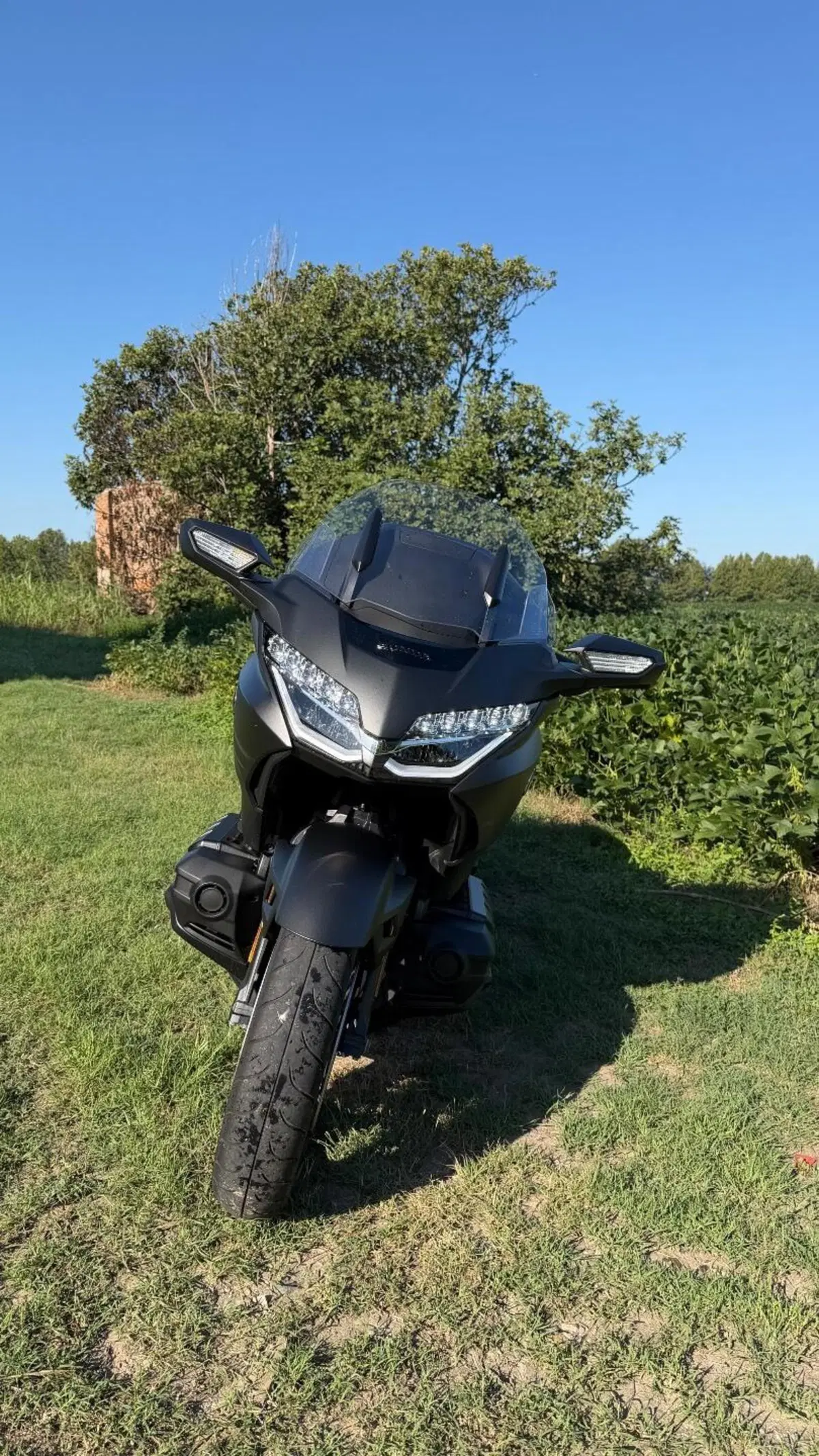 Honda GL 1800 Gold Wing 50° Anniversario (2025 - 26) (4)