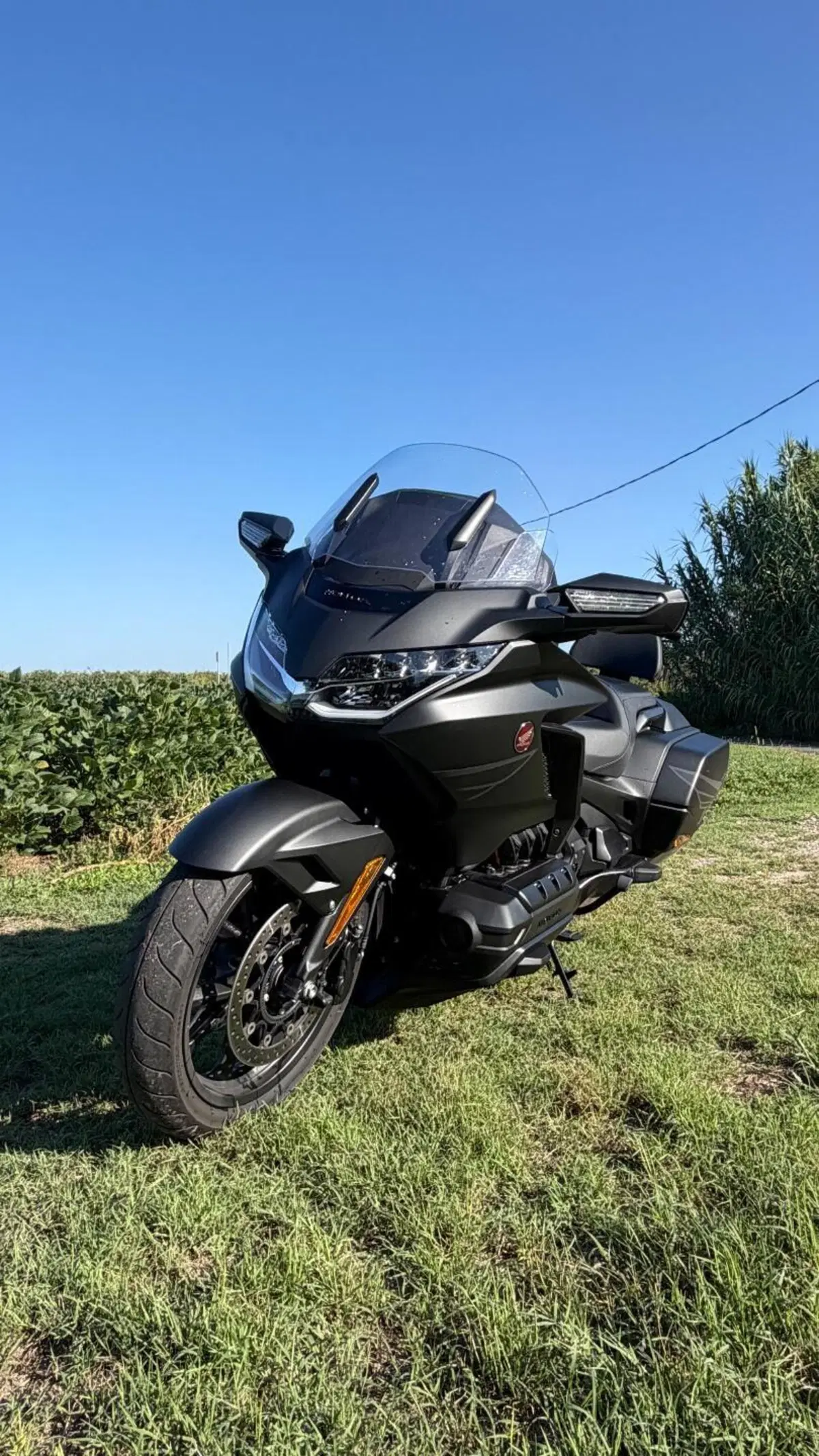 Honda GL 1800 Gold Wing 50° Anniversario (2025 - 26) (7)
