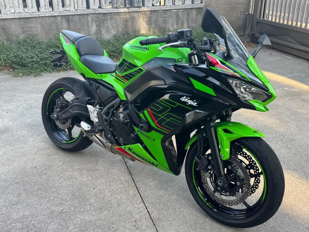 Kawasaki Ninja 650 (2021 - 24) (4)