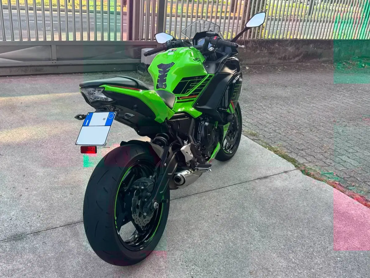Kawasaki Ninja 650 (2021 - 24) (5)