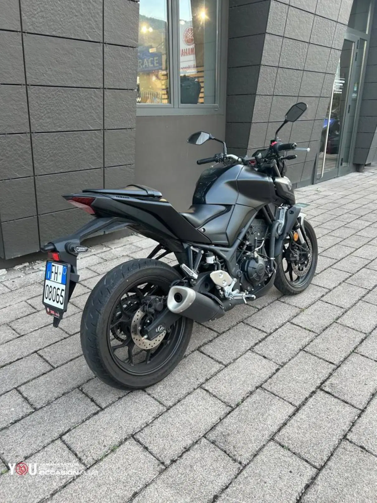 Yamaha MT-03 (2022 - 24) (3)