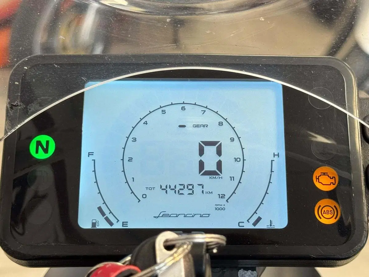 Benelli Leoncino 250 (2021 - 25) (5)